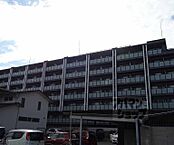 京都府京都市南区吉祥院西浦町：物件画像／ウインズリンク株式会社　アパマンショップ京都駅前店　
