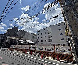 Ｖｉｎｅ　Ｏａｋ　Ｒａｂｂｉ（バインオーク　ラビ）