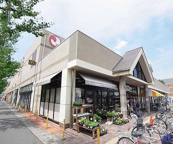 画像30:マツモト 上桂店まで600m