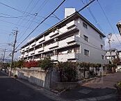 京都府京都市右京区太秦乾町：物件画像／ウインズリンク株式会社　アパマンショップ西院店　