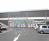 ダックス 嵯峨店まで450m