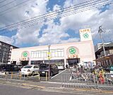 ライフ西京極店まで500m