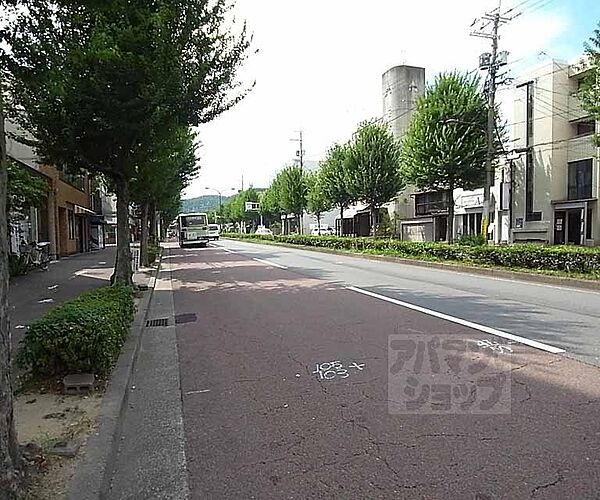 画像24:前面道路です