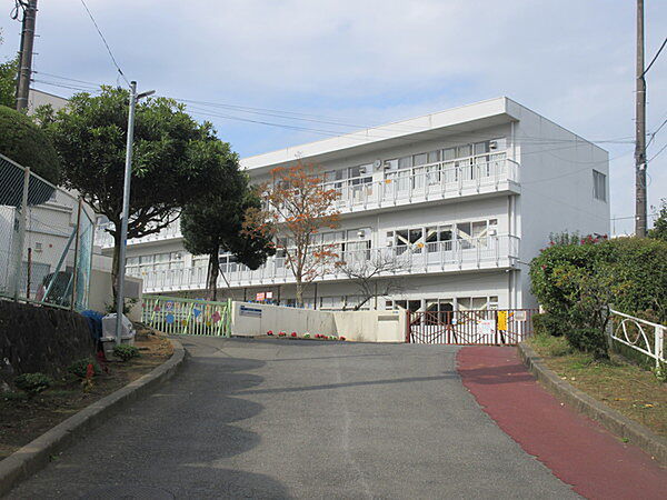 画像27:小学校「秦野市立渋沢小学校まで645m」