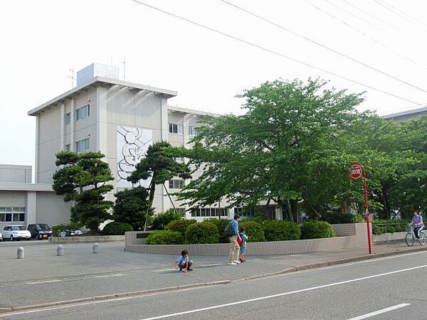 画像19:新潟市立紫竹山小学校(662m)