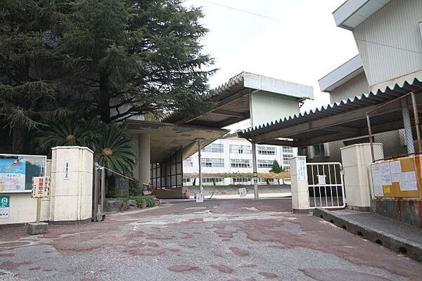 画像15:下関市立養治小学校（584m）