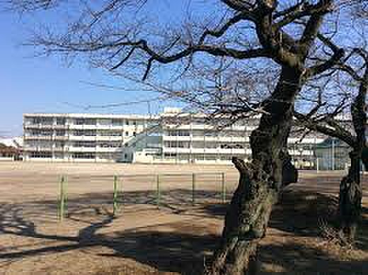 画像26:【中学校】土浦市立第三中学校まで832ｍ