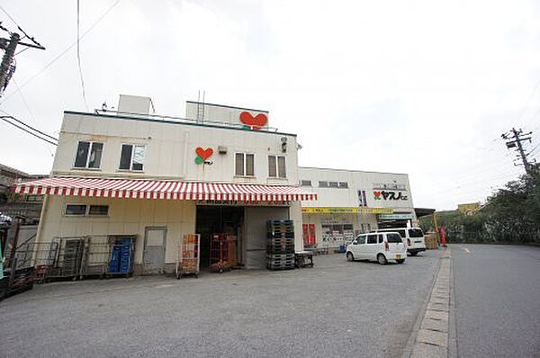 フォーリアB 203 ｜千葉県柏市正連寺(賃貸アパート2LDK・2階・58.37㎡)の写真 その22