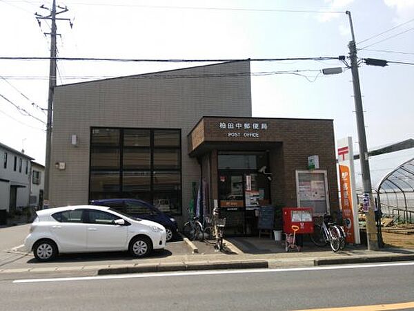 フォーリアA