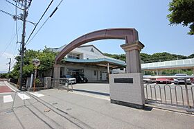 スカイハイツ新田  ｜ 徳島県徳島市津田本町５丁目（賃貸マンション1LDK・2階・43.47㎡） その16