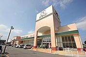 スーパー「ハローズ住吉店まで807m」