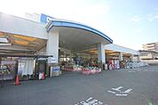 ホームセンター「DCMダイキ万代店まで2955m」