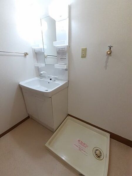 画像11:広い洗面スペース