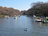 周辺：井の頭恩賜公園 1650m