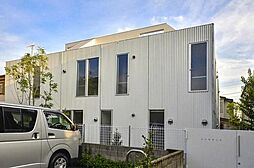 ニシオギソウ 01