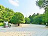 周辺：【公園】光が丘公園まで1580ｍ