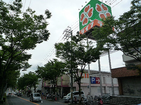 画像16:ライフ 男山店（147m）