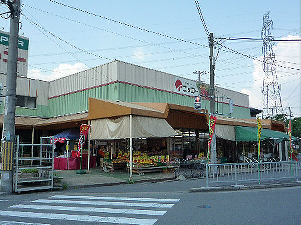 画像19:生鮮食品スーパー ニッコー 東山店（910m）