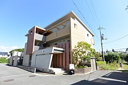 トゥリオ・イン