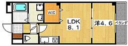 カーサセレーナ 1LDKの間取図画像
