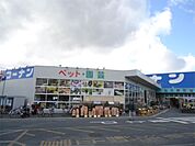 ホームセンターコーナン 枚方野村店（775m）