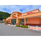 ドラックストア「とをしや薬局蟻ケ崎店まで698ｍ」