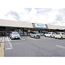 スーパー「デリシア神林店まで658ｍ」