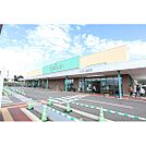 スーパー「ツルヤ並柳店まで1338ｍ」