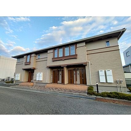 ハナミズキ_トップ画像