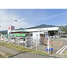 ホームセンター「コメリハード＆グリーン飯島店まで1029ｍ」