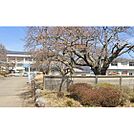 高校・高専「長野県駒ヶ根工業高校まで773ｍ」