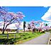 周辺：公園「運動公園南緑地まで932m」