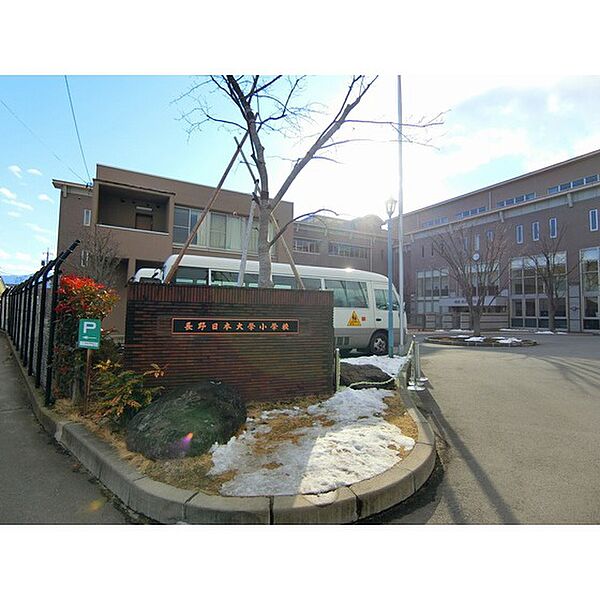 画像24:小学校「私立長野日本大学小学校まで611ｍ」