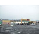 ドラックストア「アメリカンドラッグ大豆島店まで1096ｍ」