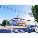 ホームセンター「ケーズデンキ長野本店まで520ｍ」
