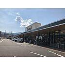 スーパー「デリシア七瀬店まで969ｍ」