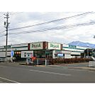 スーパー「デリシア大豆島店まで1294ｍ」