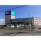 ホームセンター「エディオン長野青木島店まで1388ｍ」