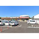 ドラックストア「クスリのアオキ和田店まで792ｍ」