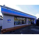 コンビニ「ローソン佐久岩村田本町店まで794ｍ」