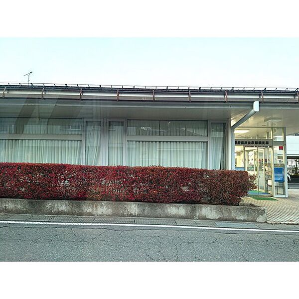 画像26:銀行「長野信用金庫飯綱支店まで1250ｍ」