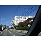 病院「北野病院まで377ｍ」