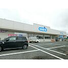 ドラックストア「ウエルシア飯綱平出店まで531ｍ」