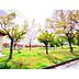 周辺：公園「三本柳中央公園まで890m」