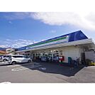 コンビニ「ファミリーマート松本征矢野店まで553ｍ」