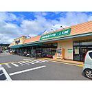 スーパー「デリシア桐店まで433ｍ」