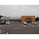ドラックストア「とをしや薬局三郷店まで775ｍ」