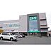 周辺：ホームセンター「ニトリ松本高宮店まで1132m」