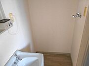 同タイプの以前の写真です