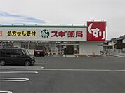 スギドラッグ 能登川店（1000m）
